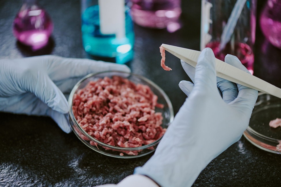 CRISPR Reduces Allergy Risk in Cultivated Beef Cells