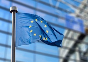 European Parliament Votes to Support Proposal on NGTs