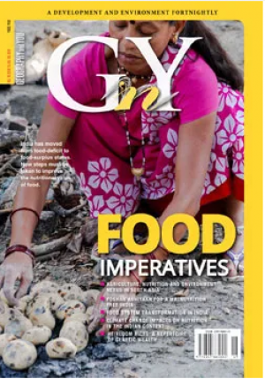 Food imperatives in context of the agriculture, nutrition, and environment nexus
