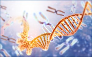 TALEN Beats CRISPR-Cas9 in Editing Tightly-packed DNA