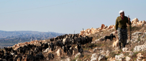 Food insecurity deepens in Lebanon following conflict, new report shows