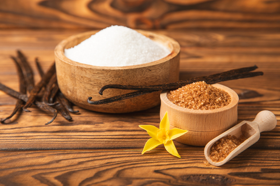 How Bacteria Are Transforming Food, Agriculture, Health, and the Environment Through Biotechnology