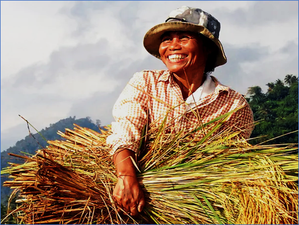 IRRI 2025–2030 Strategy Driving rice innovations toward food systems transformation