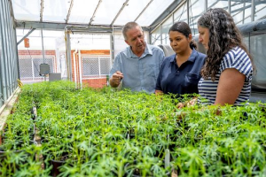 Experts in Australia Find Ways to Improve Disease Resistance of Narrow-leafed Lupins