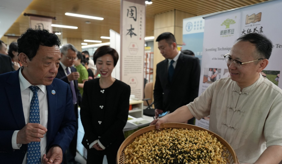 Launch of new SIDS and new GIAHS initiatives mark milestone in FAO&rsquo;s partnership with China