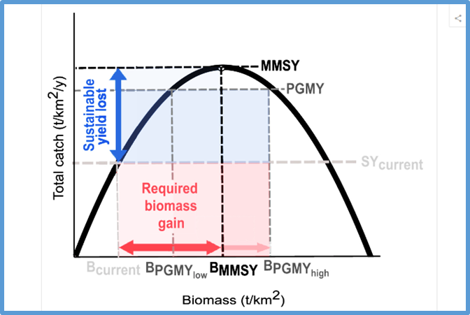 Potential yield and food provisioning gains from rebuilding the world&rsquo;s coral reef fish stocks