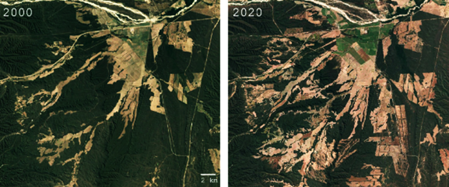 Reviving Vavilov&rsquo;s vision: The tragedy of biodiversity governance and principles for reform