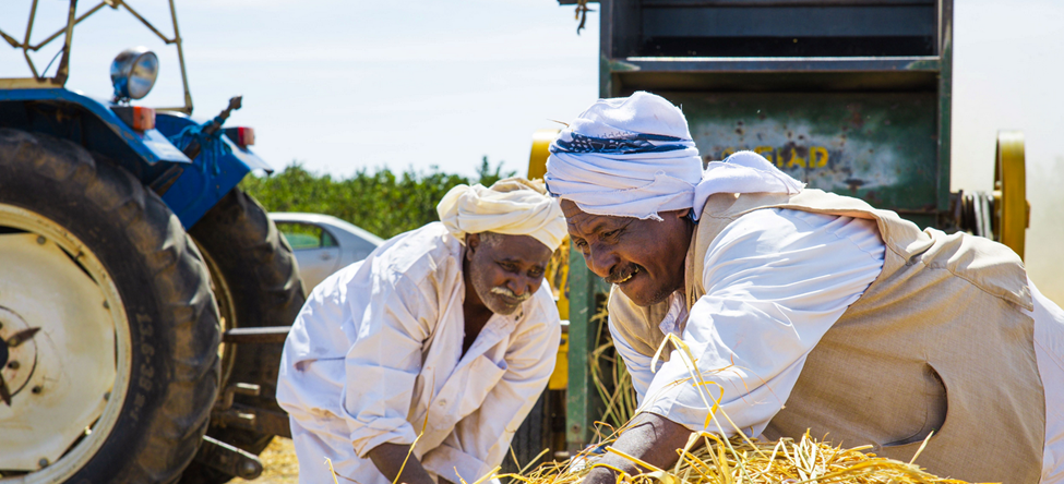 Risk of Famine persists as nearly 19.5 million people face acute food insecurity in Sudan