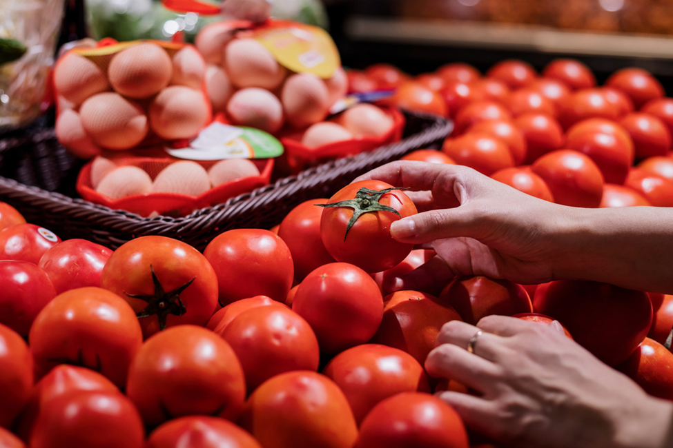 Study Finds No Link Between GMOs and Health Risks