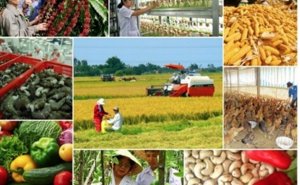 Vietnam Agriculture in 2021 to Smoothly Achieve Its Mandates 