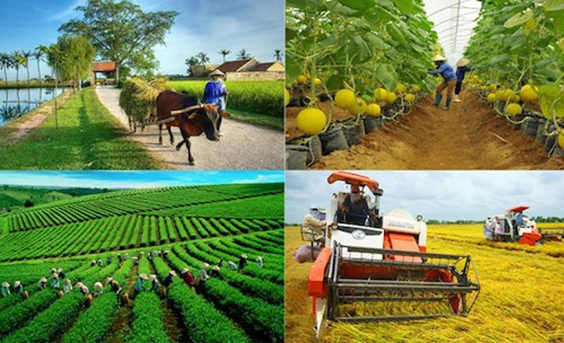 2025 Agriculture Report - Spectacular Breakthrough