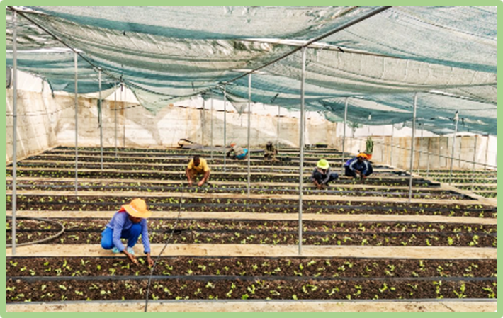 2025 Impact Report: IFAD scales up sustainable bond programme to boost rural investment, with strong issuance and credit rating upgrade