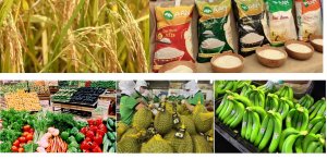 Vietnam agriculture in 2022: Switching to an agricultural economy