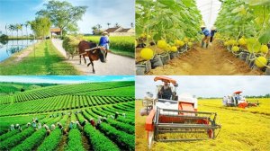 VIETNAM AGRICULTURE IN 2023 SHIFTING TO INTELLIGENT PRODUCTION 