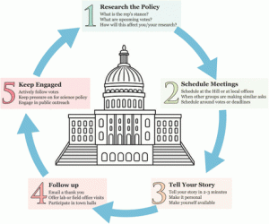 Opinion: Science policy for scientists: A simple task for great effect