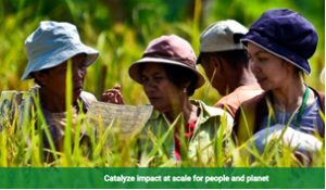 Catalyze impact at scale for people and planet