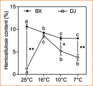 Genome-Wide Identification of Banana Csl Gene Family and Their Different Responses to Low Temperature between Chilling-Sensitive and Tolerant Cultivars