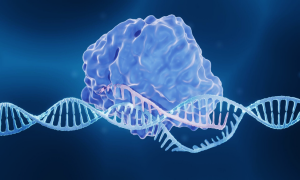 A comprehensive all-in-one CRISPR toolbox for large-scale screens in plants