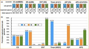 Exploring the diversity of promoter and 5&prime;UTR sequences in ancestral, historic and modern wheat