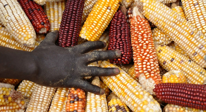 Efforts to safeguard biodiversity receive welcome boost