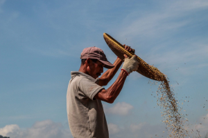 `Seed funding`: How more billionaires can help end world hunger