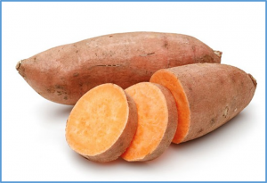 Potato and sweetpotato breeding at the international potato center: approaches, outcomes and the way forward 