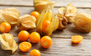 Groundcherry Gets Genetic Upgrades Through CRISPR