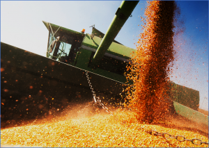 Global Crop Yields Have Grown Steadily in the Last Six Decades