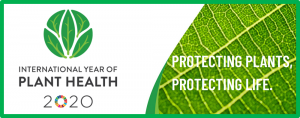 International Year of Plant Health 2020
