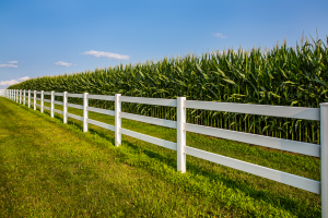 Genetic engineering to improve essential and conditionally essential amino acids in maize: transporter engineering as a reference