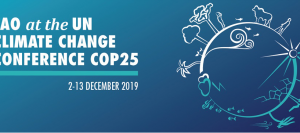 FAO at the UN Climate Change Conference COP 25
