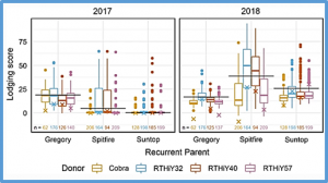 Multi-donor &times; elite-based populations reveal QTL for low-lodging wheat