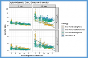 Clonal diploid and autopolyploid breeding strategies to harness heterosis: insights from stochastic simulation