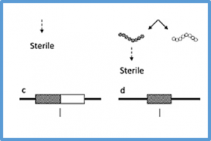 Molecular genetics of cytoplasmic male sterility and restorer-of-fertility for the fine tuning of pollen production in crops