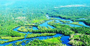 Critical slowing down of the Amazon forest after increased drought occurrence