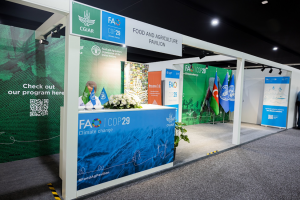COP29 Key Take Aways, Negotiations, Side Events and Coverage