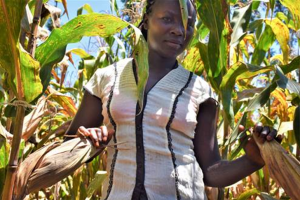 The future of agriculture in sub-Saharan Africa
