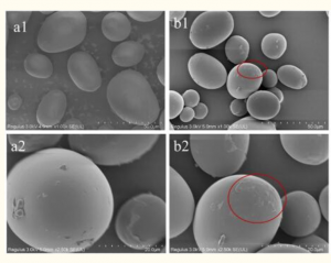 Effects of ultrasound treatment on the starch properties and oil absorption of potato chips. 