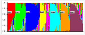 Genetic Diversity, Population Structure, and Marker-Trait Association for Drought Tolerance in US Rice Germplasm.