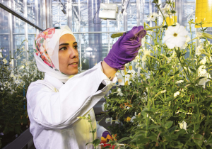 CRISPR Helps Make Naturally Orange Petunias