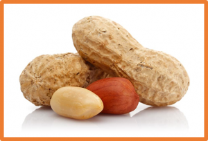 Base Editing in Peanut Using CRISPR/nCas9