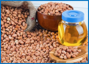 Genetic analysis and exploration of major effect QTLs underlying oil content in peanut