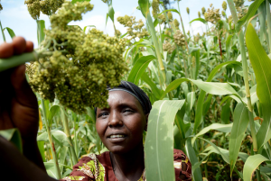 Integrated approaches key to achieve development goals