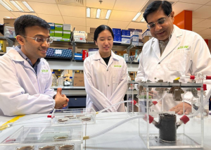 Scientists Uncover Plant Hormone that Boosts Plant Growth by 30%