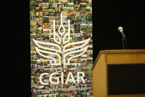 General Statement of CGIAR participation at COP29 in Baku, Azerbaijan