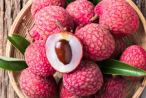 Two divergent haplotypes from a highly heterozygous lychee genome suggest independent domestication events for early and late-maturing cultivars