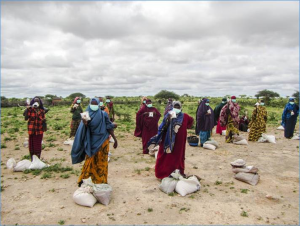 More Countries Join the COVID-19 Food Coalition