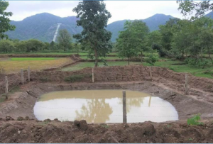 Drought-prone landscape turns green