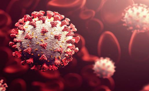 International Team of Scientists Identify Common Vulnerabilities in COVID-19 and Other Lethal Coronaviruses