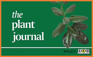 Broad-spectrum stress tolerance conferred by suppressing jasmonate signaling attenuation in Arabidopsis JASMONIC ACID OXIDASE mutants